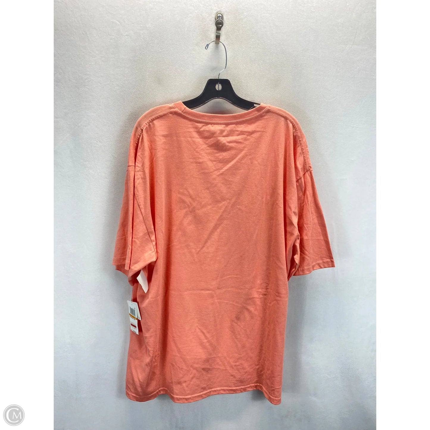Top 2pc 3/4 Sleeve By Clothes Mentor In Peach, Size: 3x