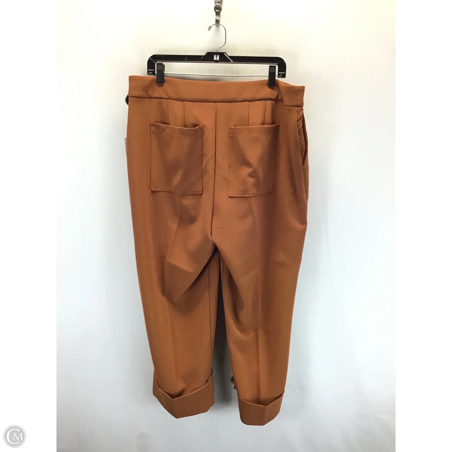 Pants Suit 2pc By Eloquii In Brown, Size: 16