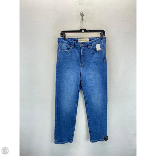 Jeans Skinny By Soft Surroundings In Blue, Size: 8