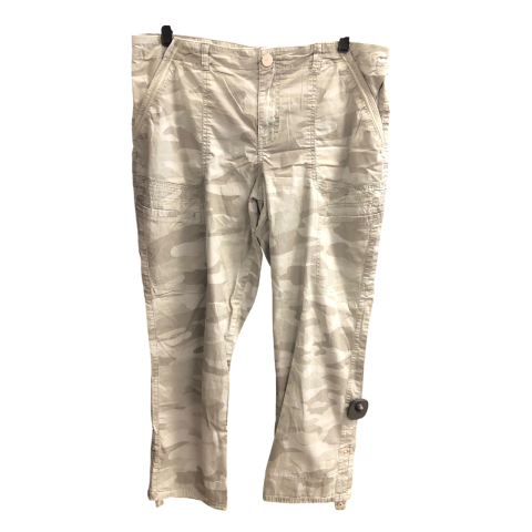 Pants Other By Democracy In Green, Size: 12