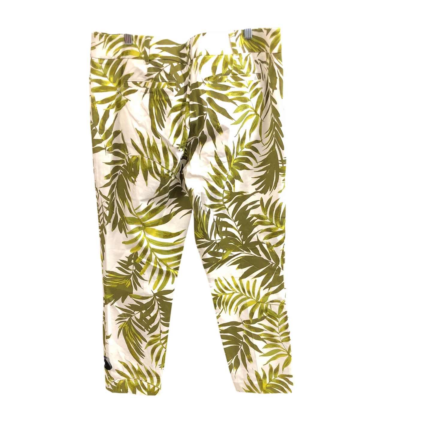 Pants Other By New York And Co In Green & White, Size: 14