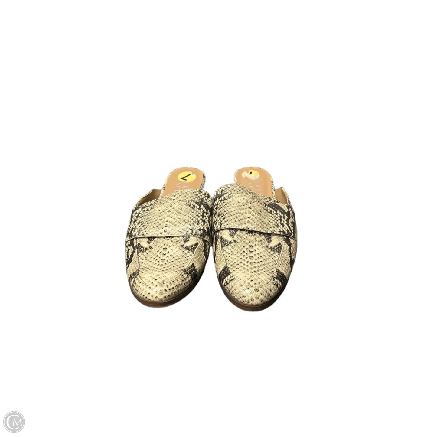 Shoes Flats By Franco Sarto In Snakeskin Print, Size: 7