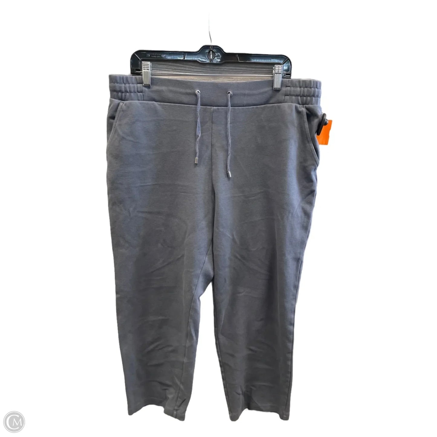 Pants Other By Time And Tru In Grey, Size: 16