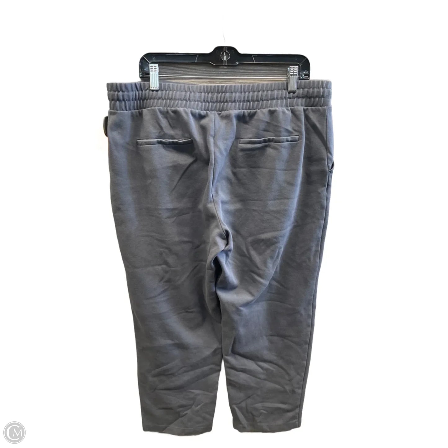 Pants Other By Time And Tru In Grey, Size: 16