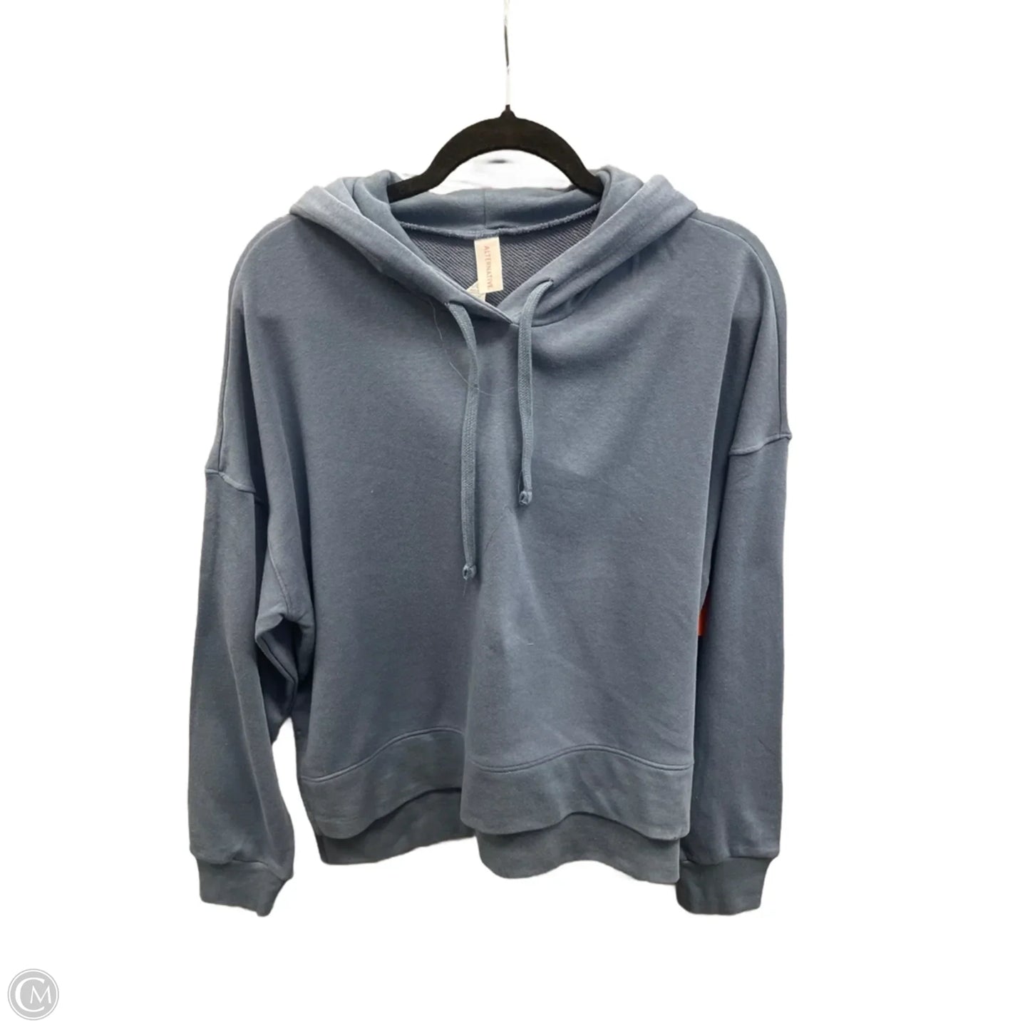 Sweatshirt Hoodie By Alternative In Blue, Size: L