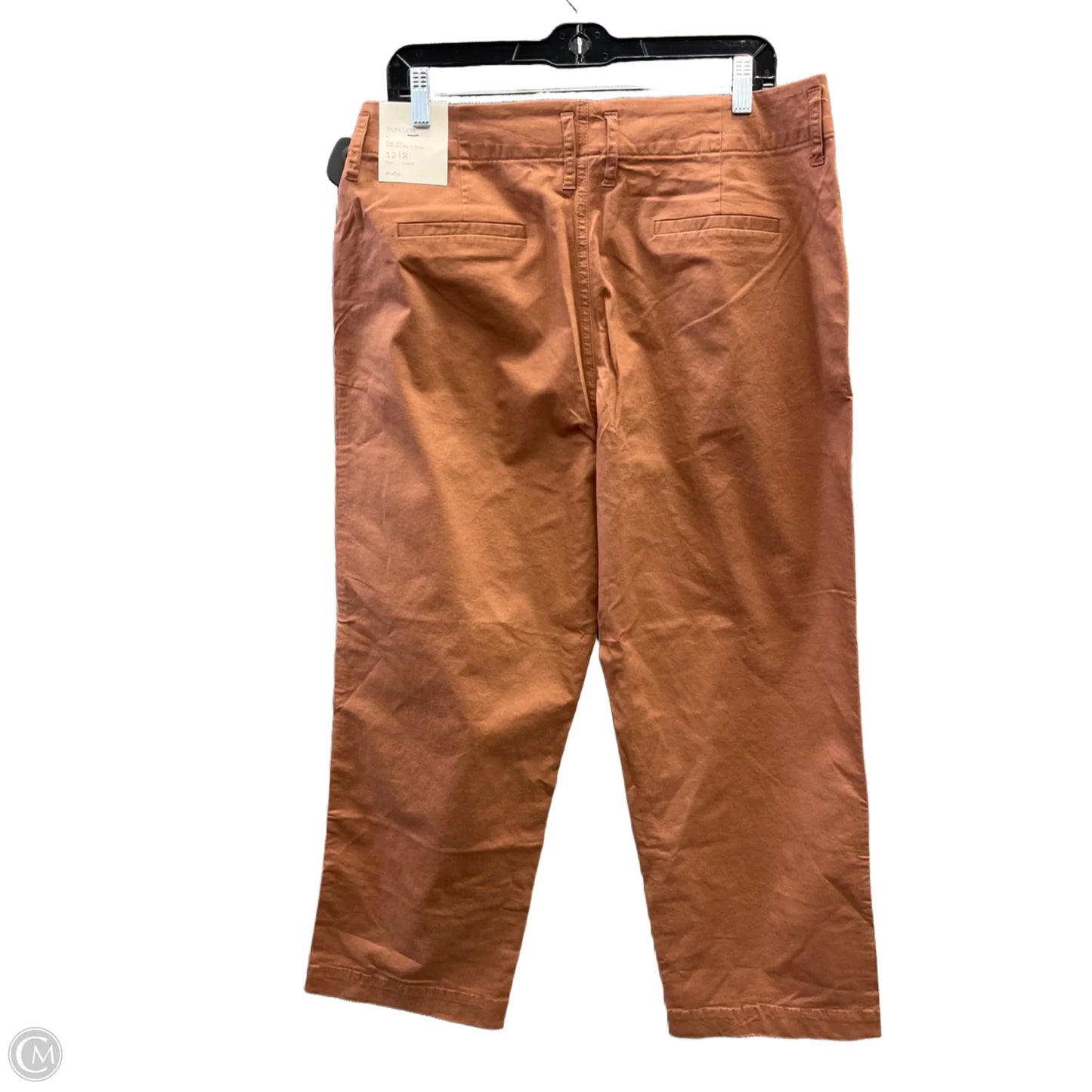 Pants Cropped By A New Day In Brown, Size: 12
