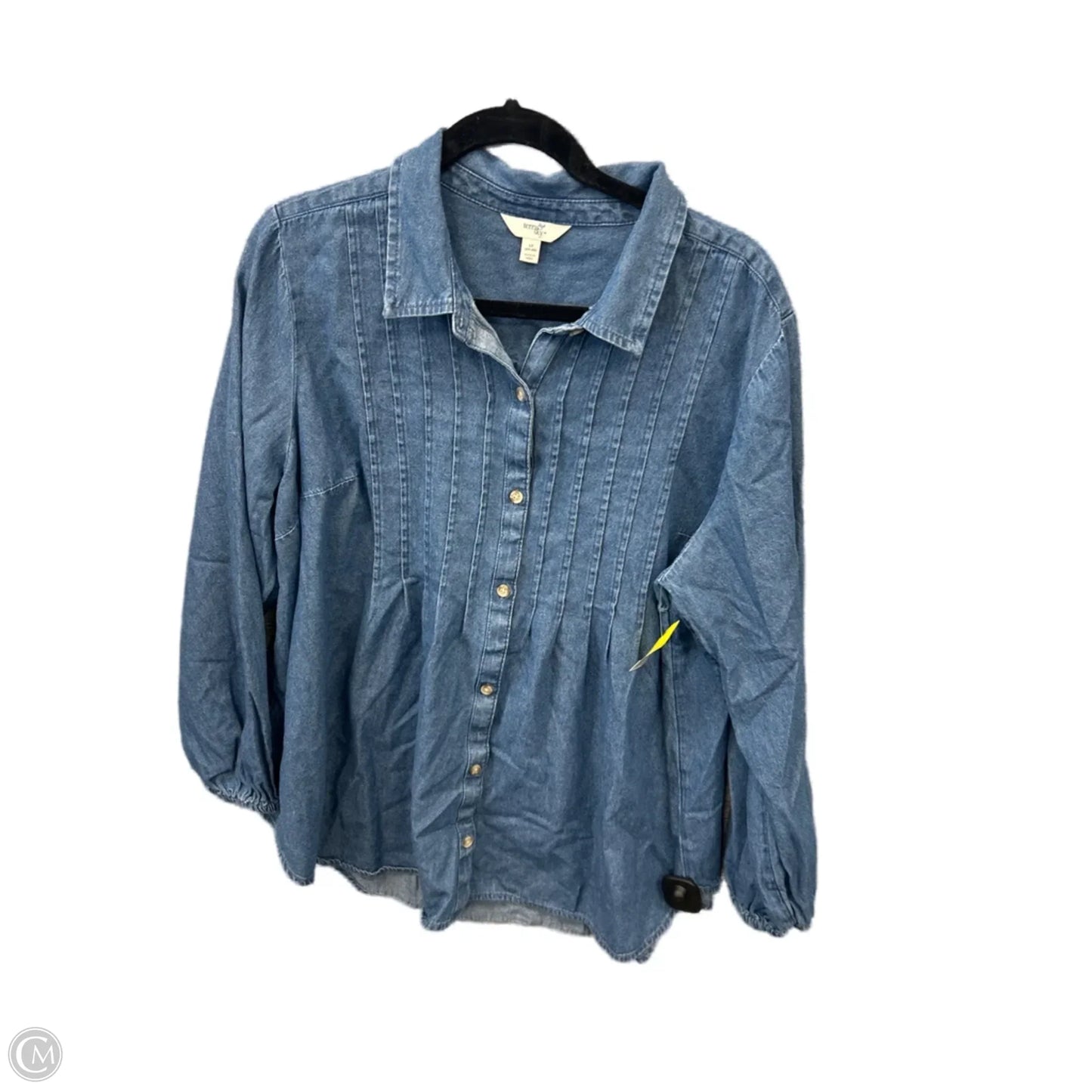 Top Long Sleeve By Terra & Sky In Blue Denim, Size: 1x