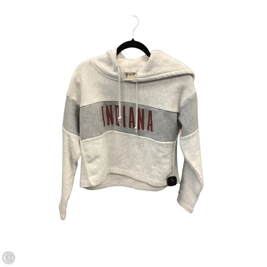 Sweatshirt Hoodie By Champion In Grey, Size: M