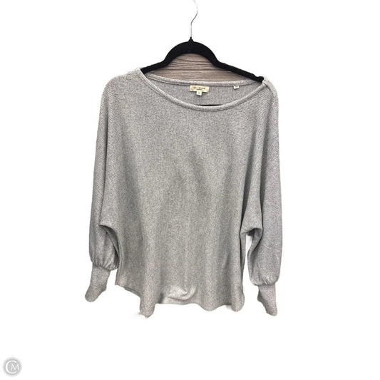 Top Long Sleeve By Max Studio In Grey, Size: 2x