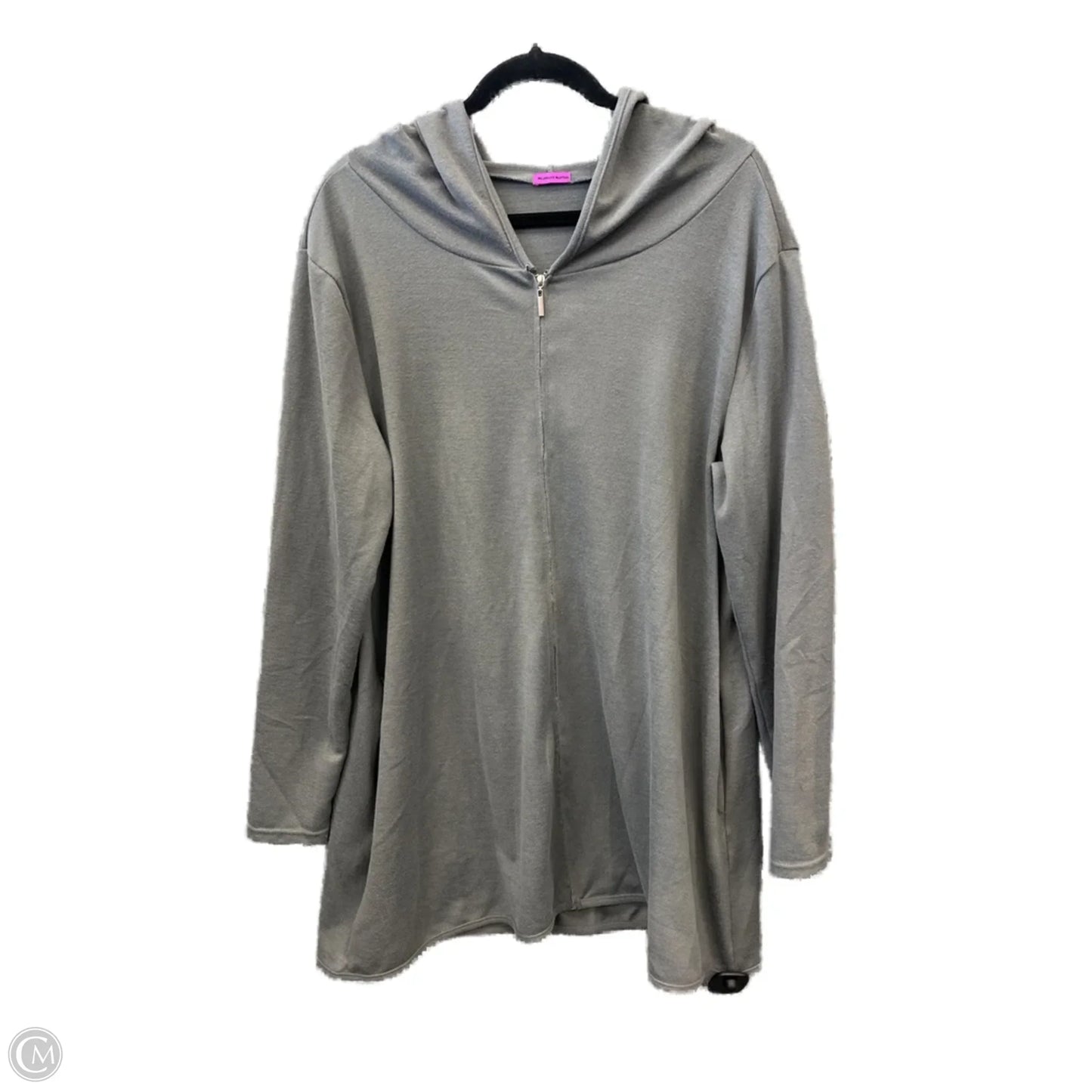 Top Long Sleeve By Clothes Mentor In Grey, Size: Xl
