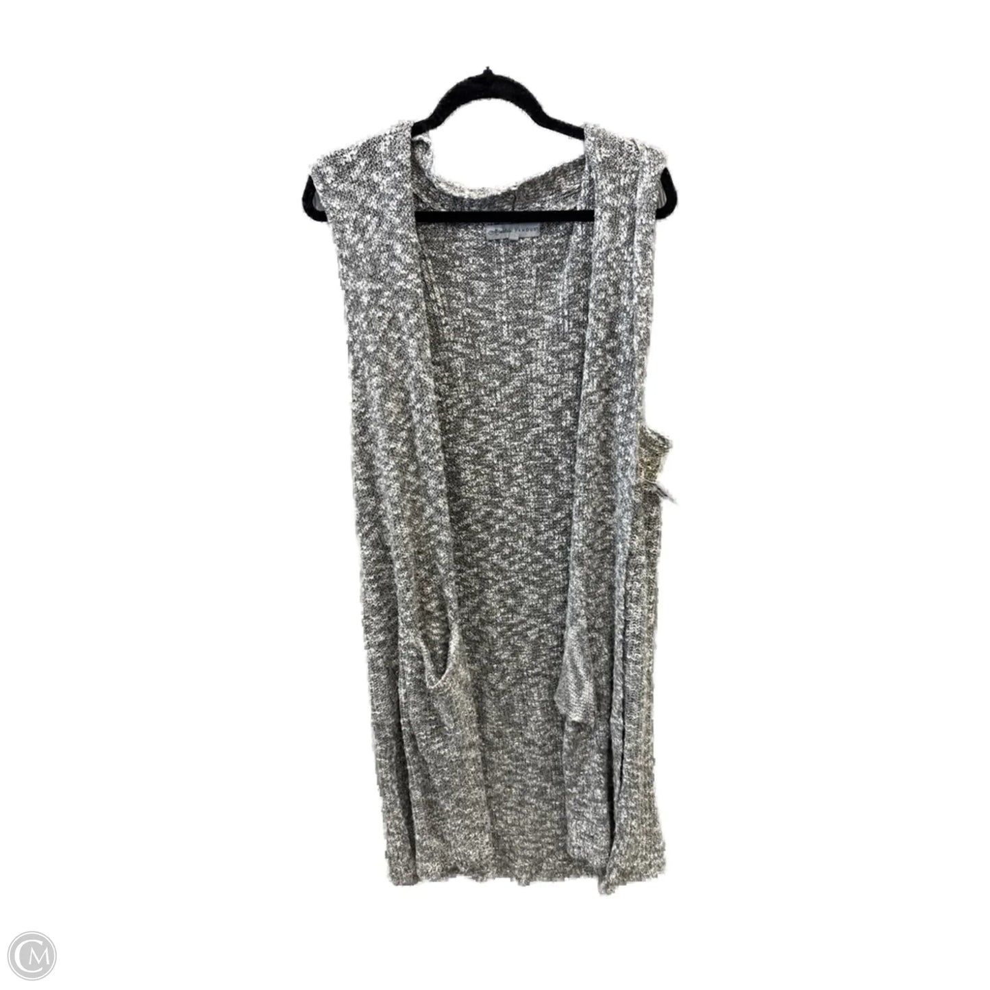Cardigan By Absolutely Famous In Grey, Size: 3x
