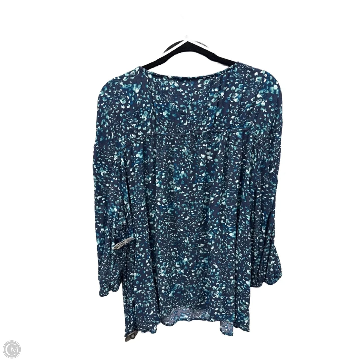 Blouse Long Sleeve By Terra & Sky In Blue, Size: 2x