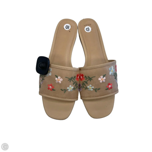 Sandals Flats By A New Day In Brown, Size: 10