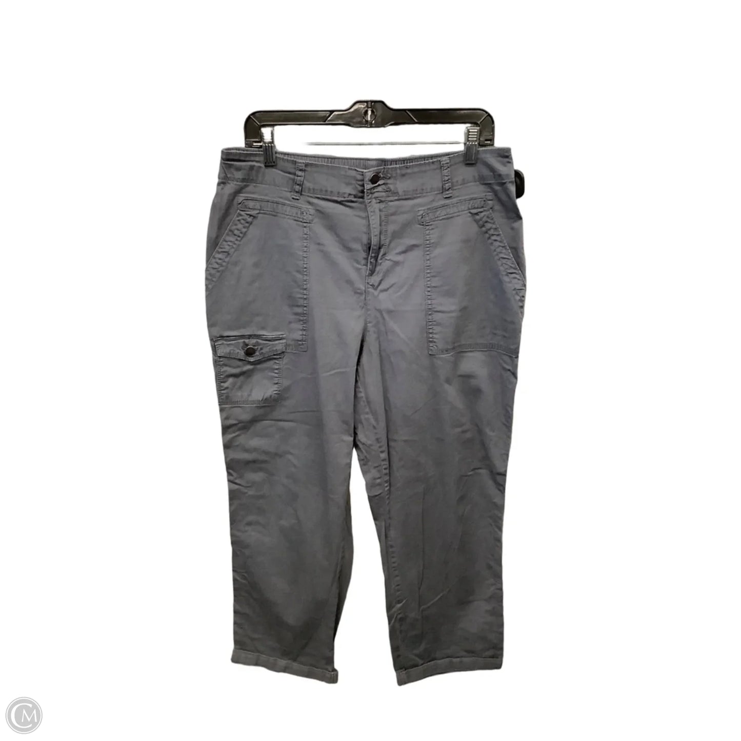 Pants Cargo & Utility By Time And Tru In Grey, Size: 14