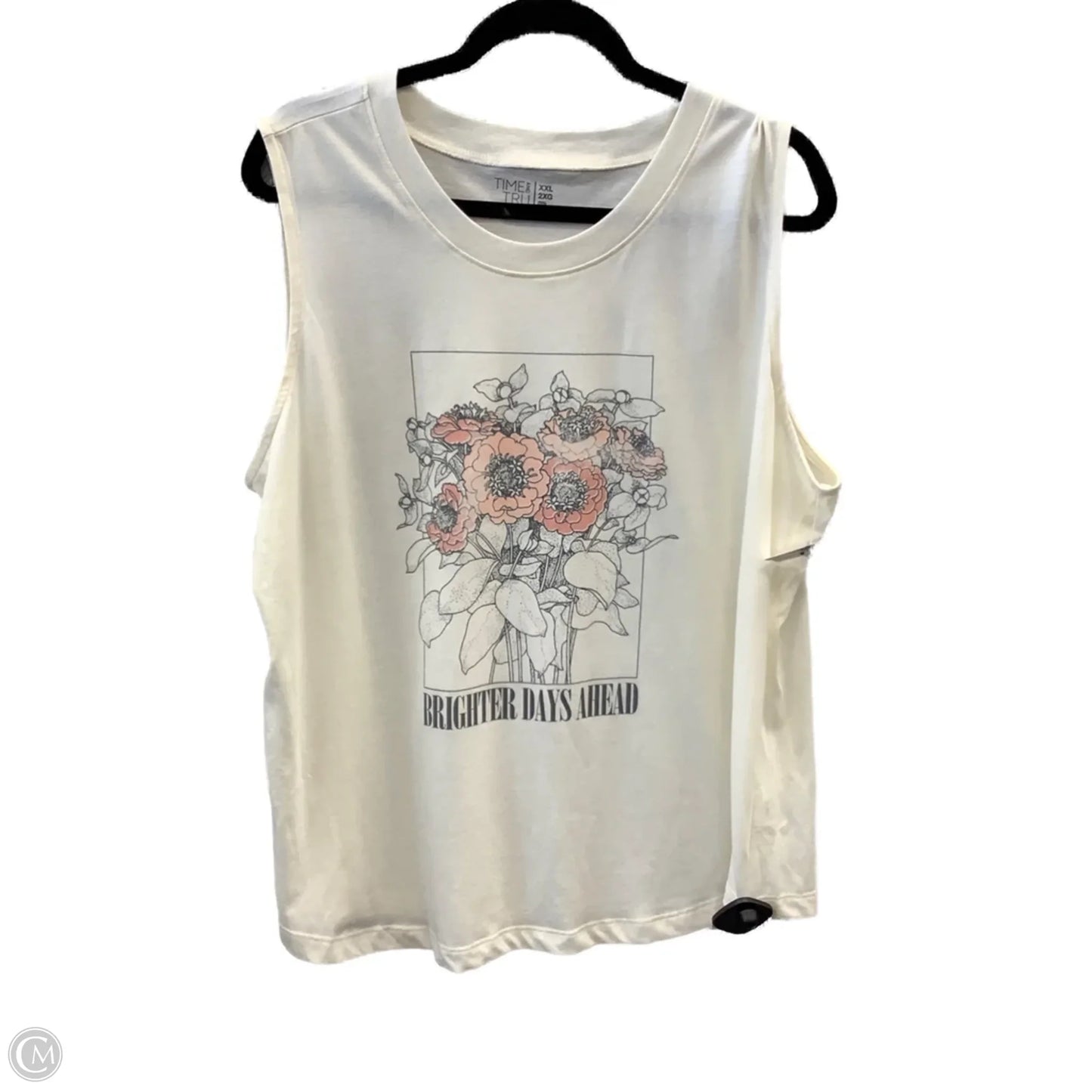 Top Sleeveless By Time And Tru In Cream, Size: 2x