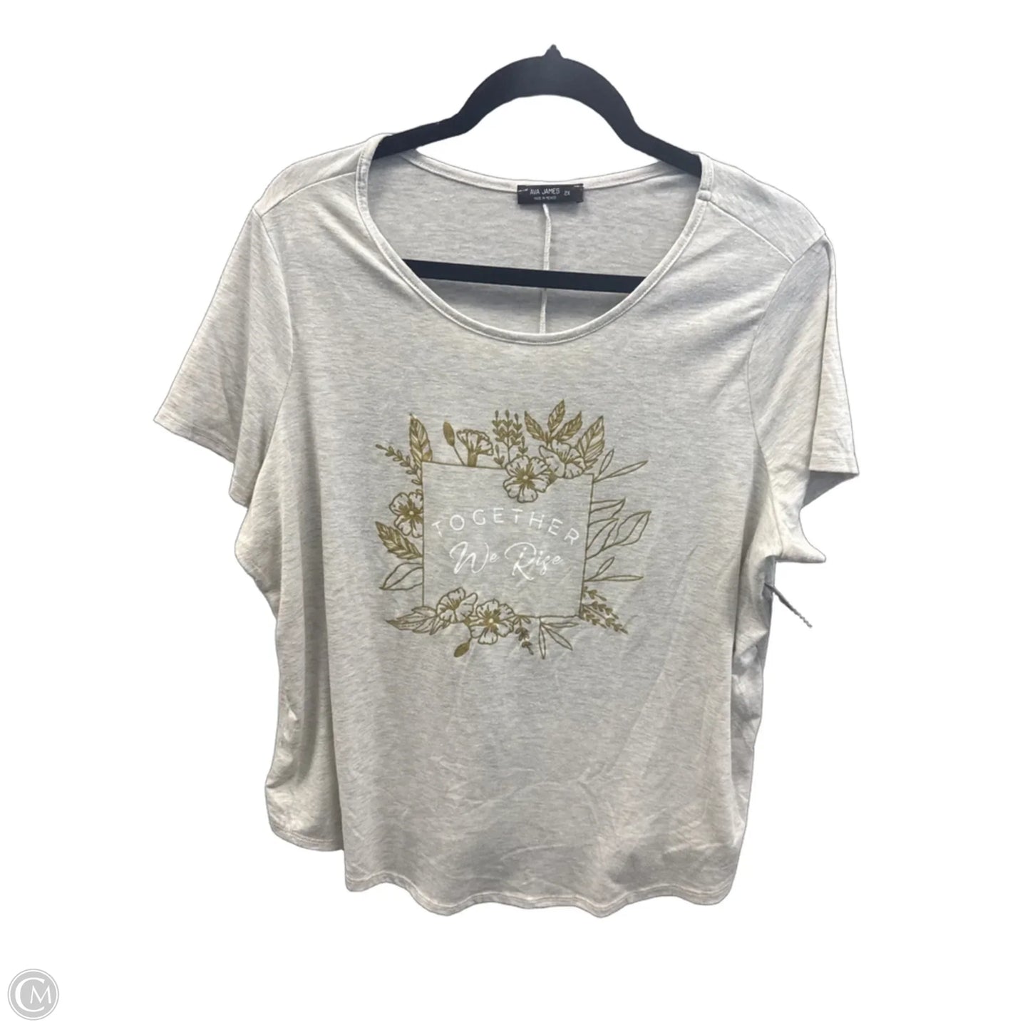 Top Short Sleeve By Ava James In Beige, Size: 2x