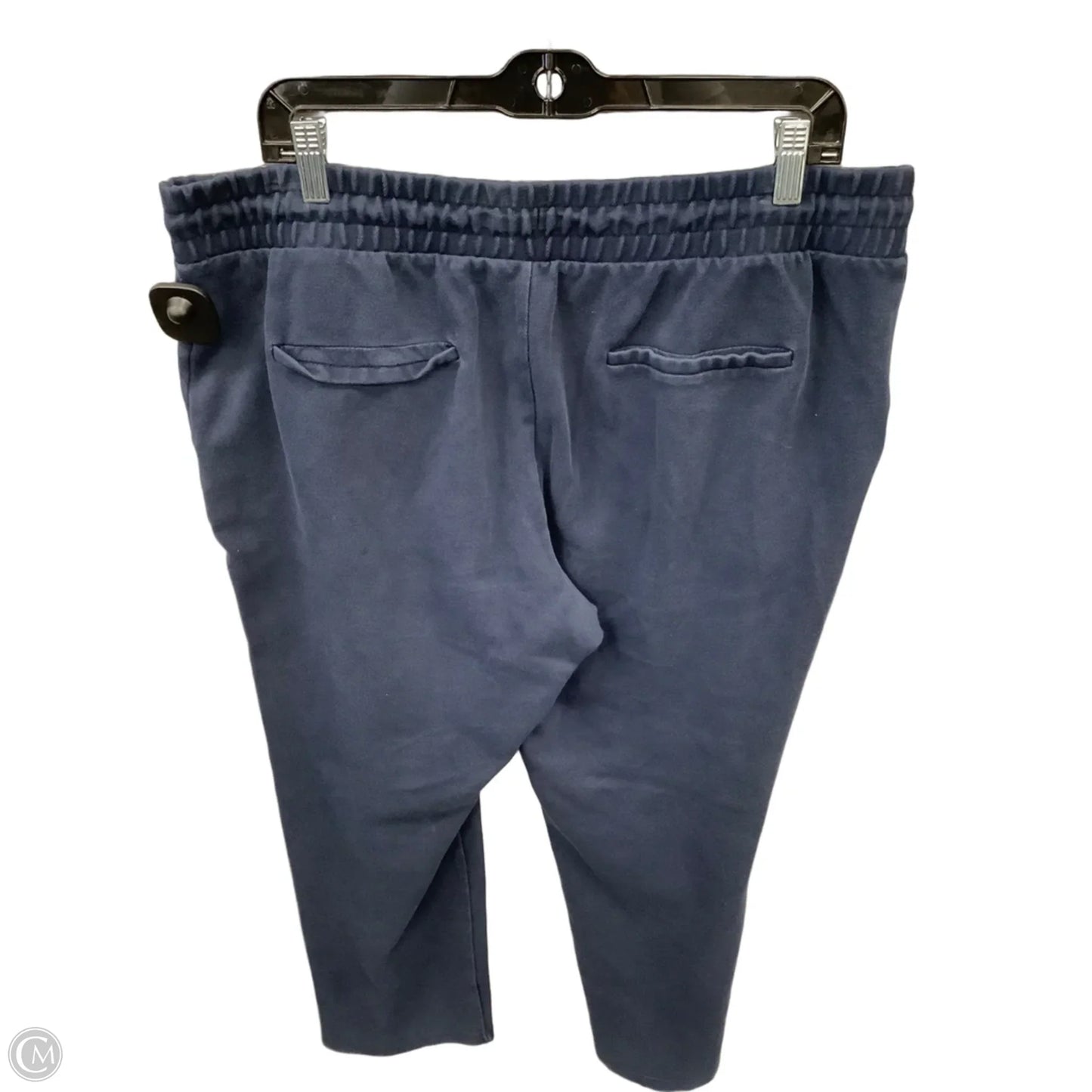 Pants Lounge By Time And Tru In Blue, Size: 16