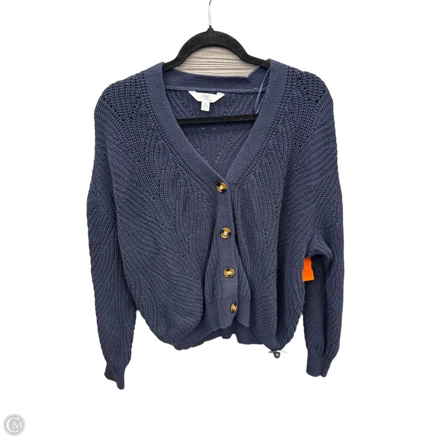 Sweater By Time And Tru In Blue, Size: M