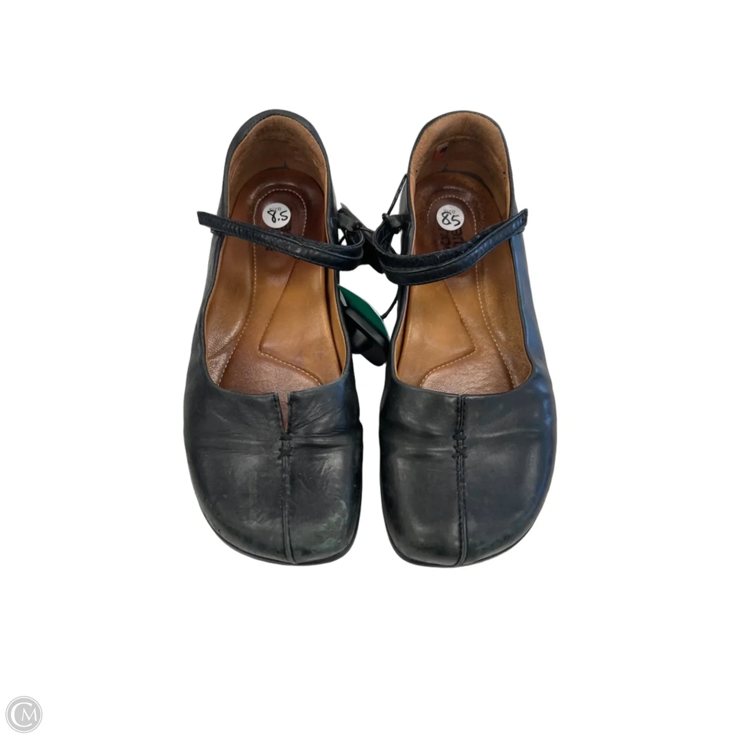 Shoes Flats By Earth In Black, Size: 8.5