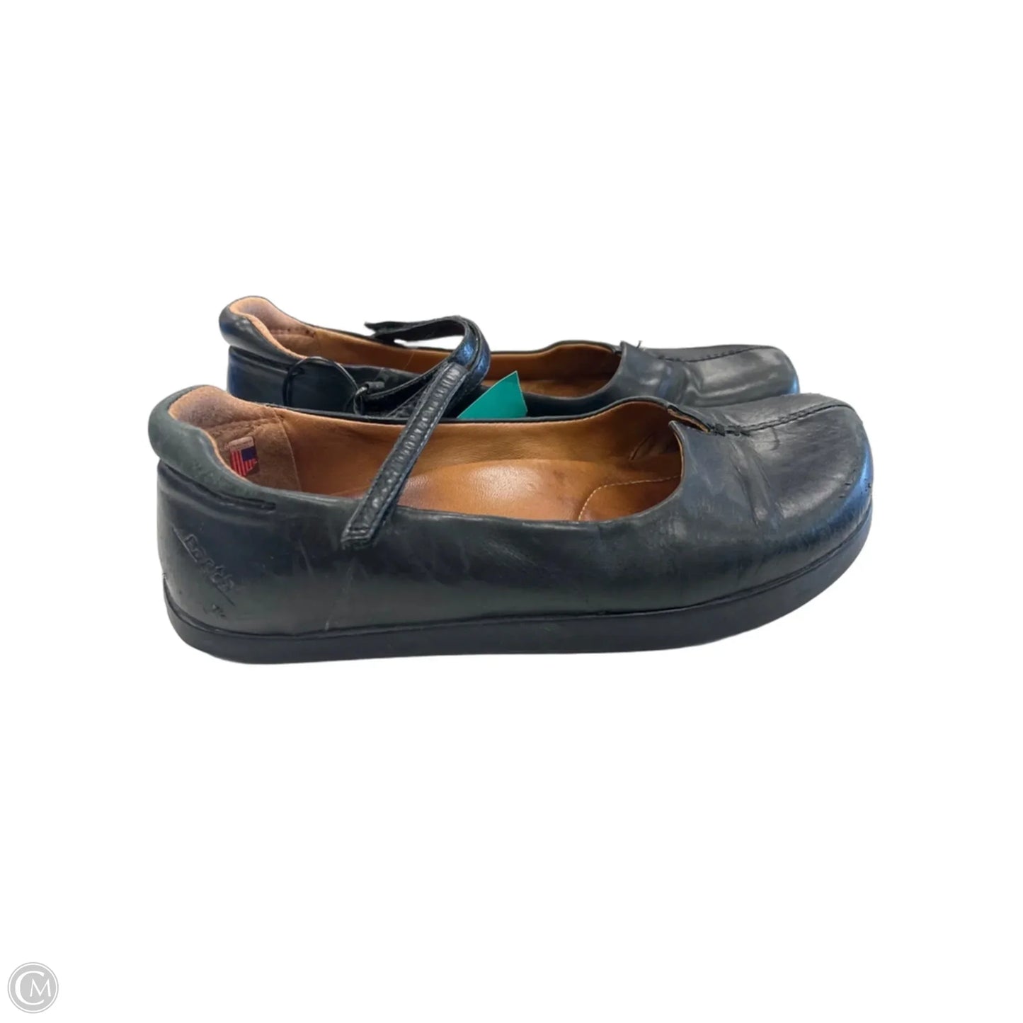 Shoes Flats By Earth In Black, Size: 8.5