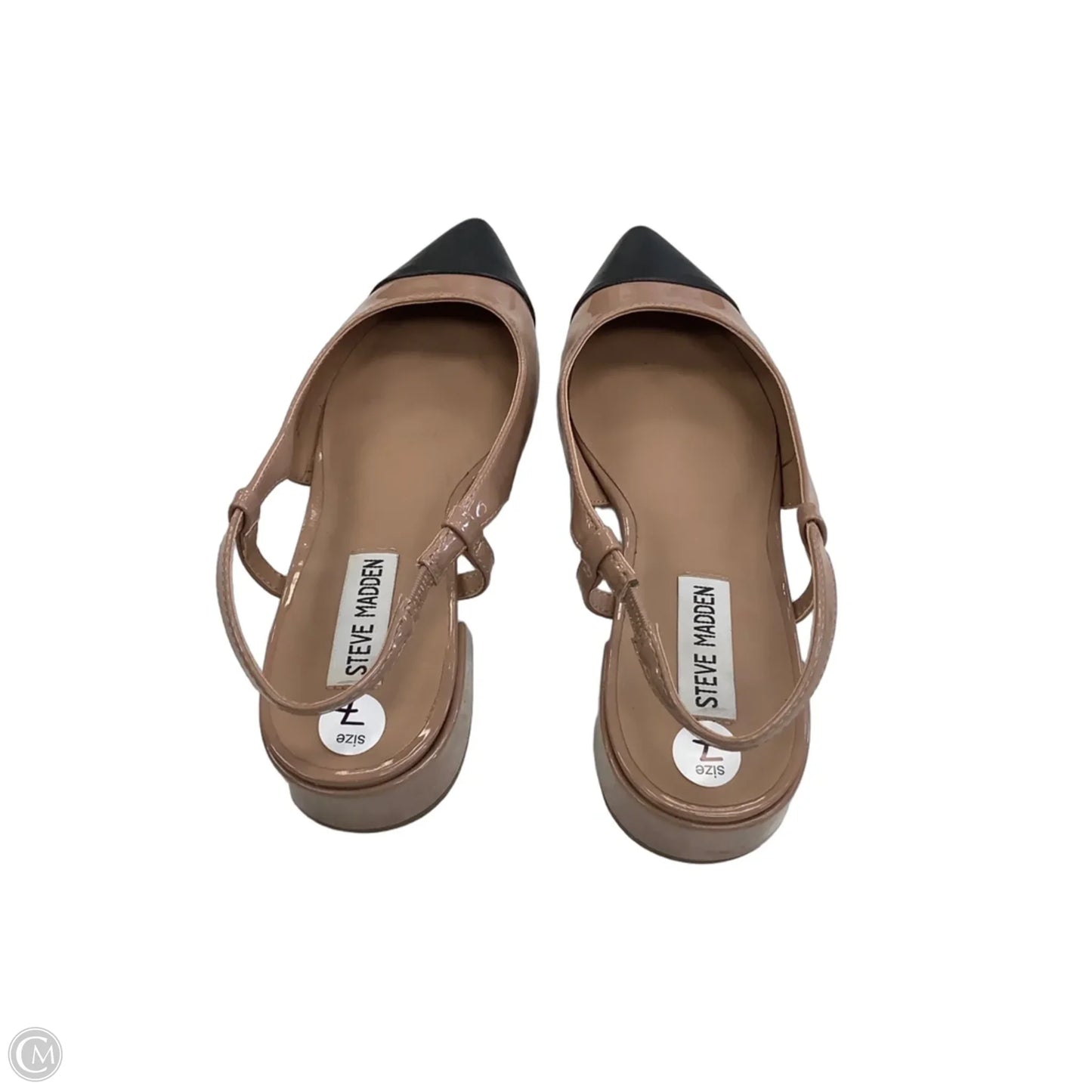 Shoes Flats By Steve Madden In Black & Brown, Size: 7