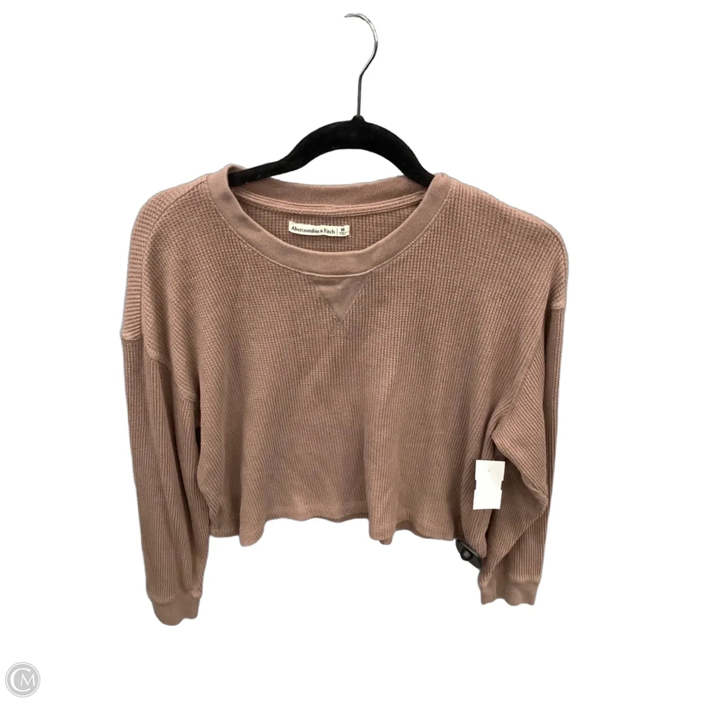Top Long Sleeve By Abercrombie And Fitch In Brown, Size: M