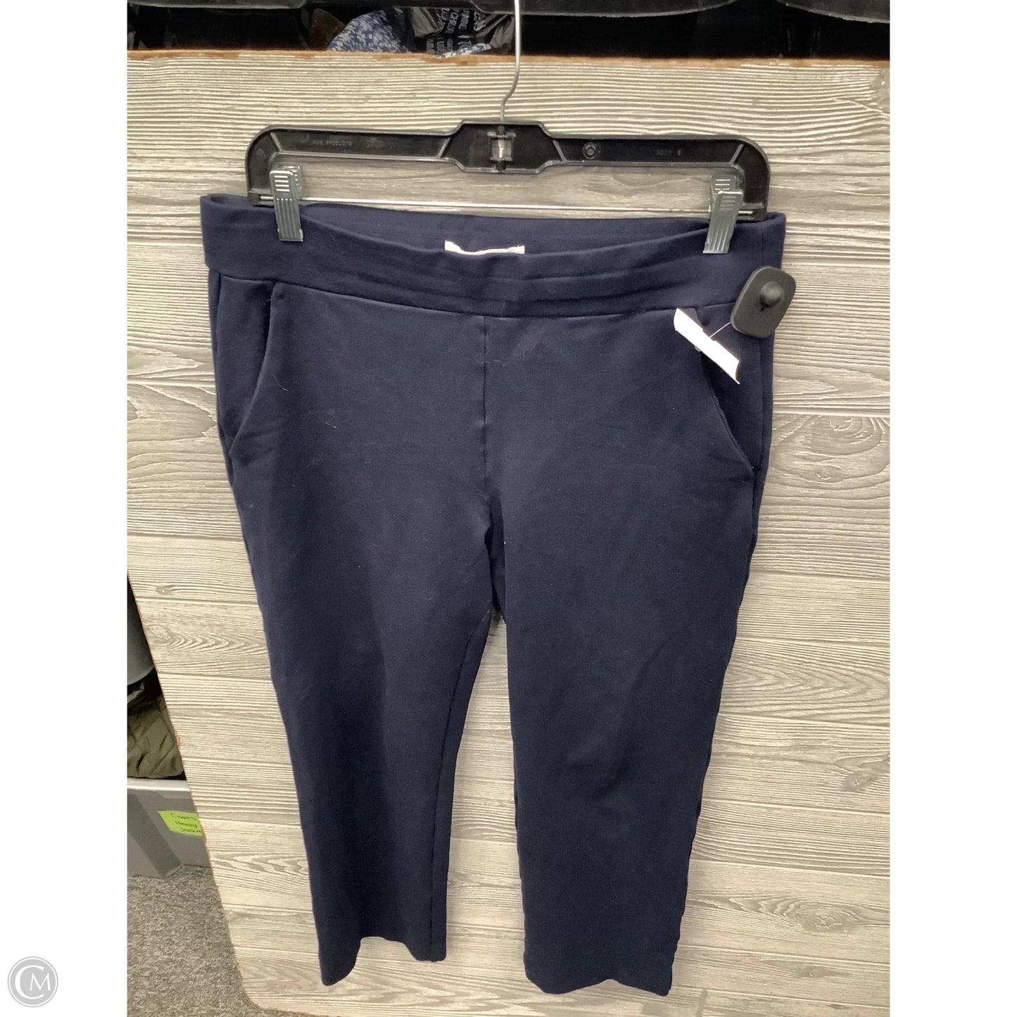Pants Other By Loft In Navy, Size: 8
