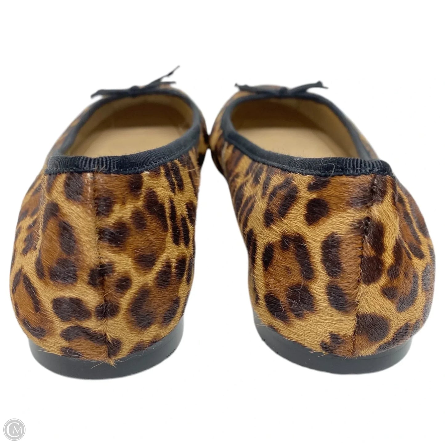 Shoes Flats By Ann Taylor In Animal Print, Size: 6