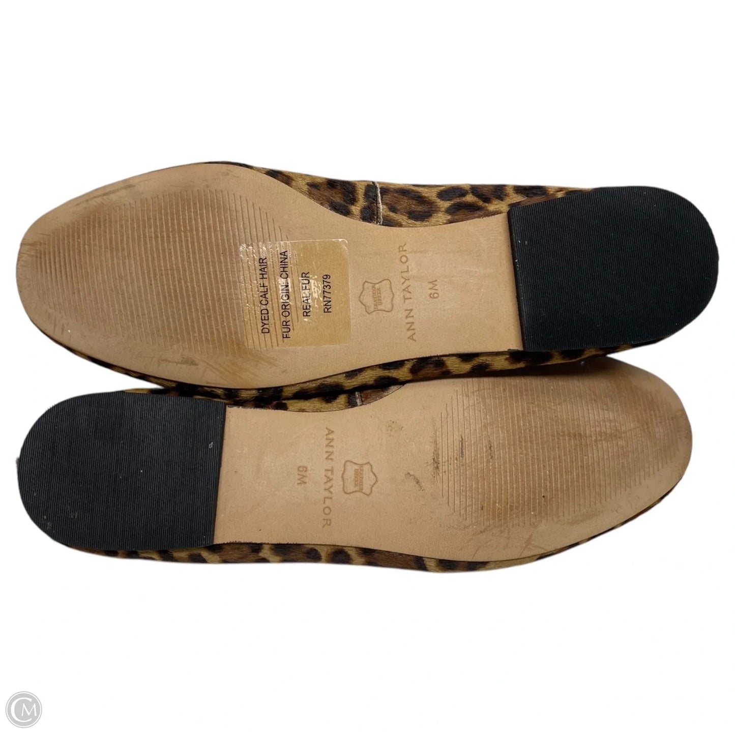 Shoes Flats By Ann Taylor In Animal Print, Size: 6