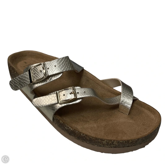Sandals Flip Flops By Time And Tru In Gold, Size: 9