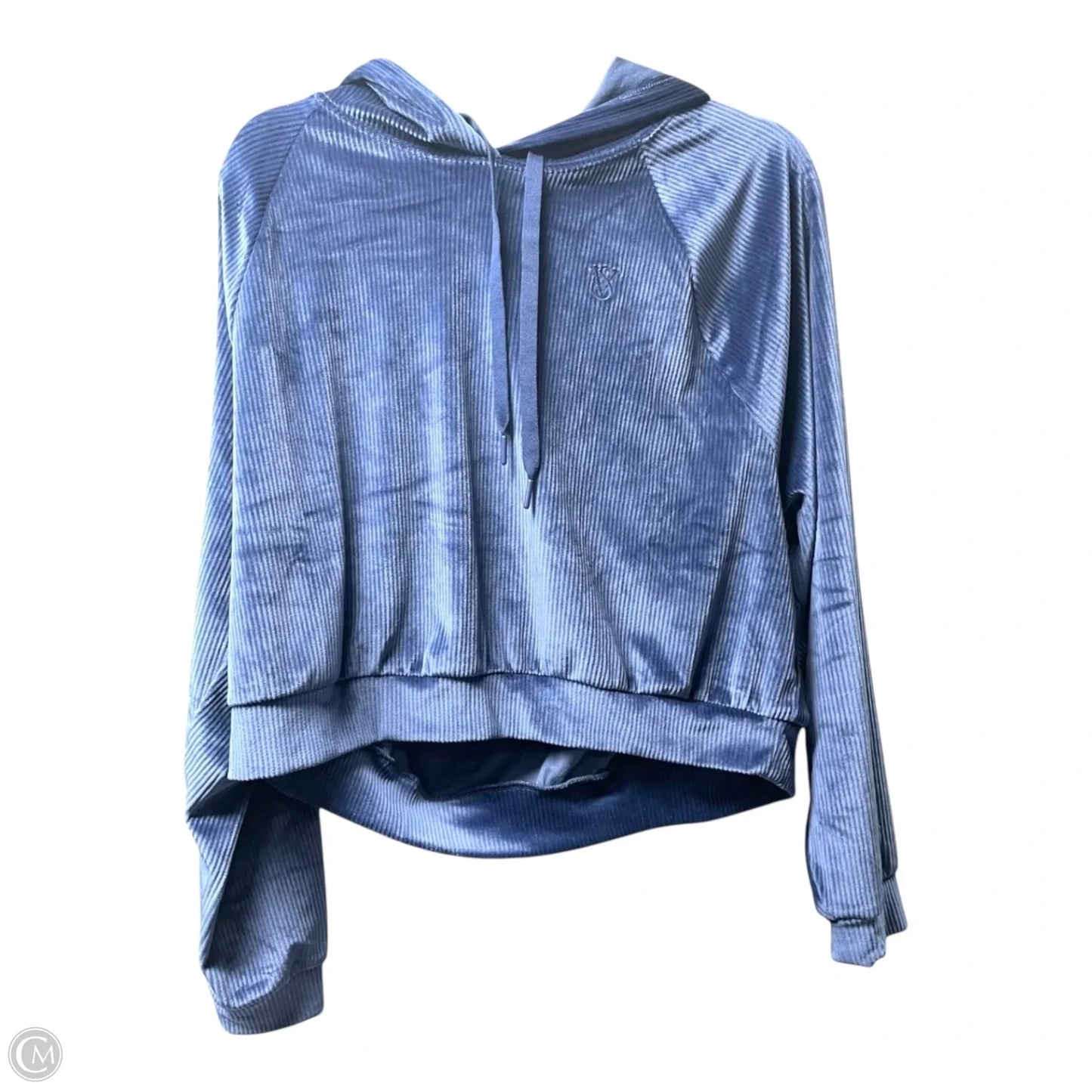 Sweatshirt Hoodie By Victorias Secret In Blue, Size: L