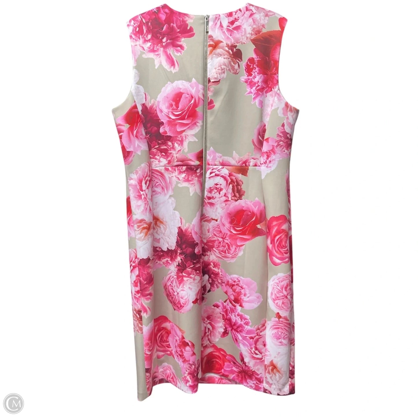 Dress Casual Short By Calvin Klein In Floral Print, Size: 18