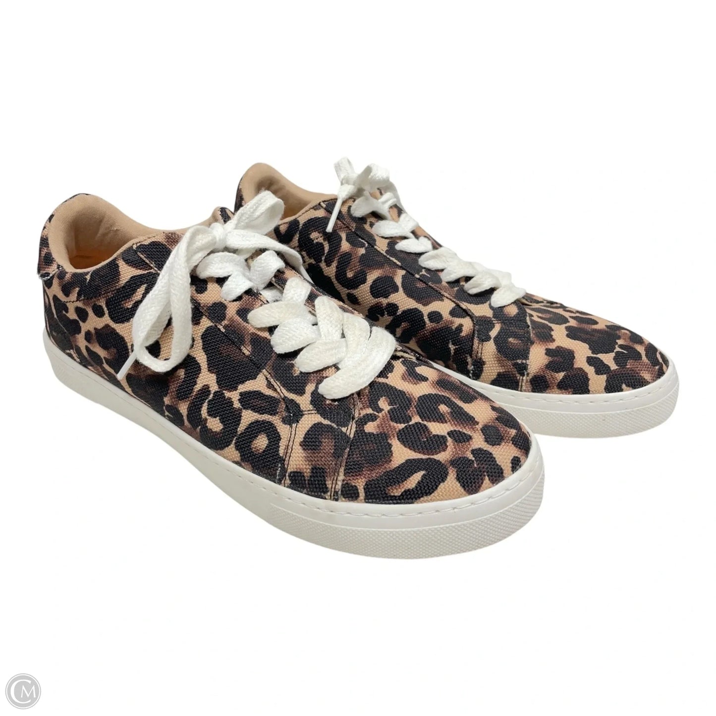 Shoes Flats By Steve Madden In Animal Print, Size: 9.5
