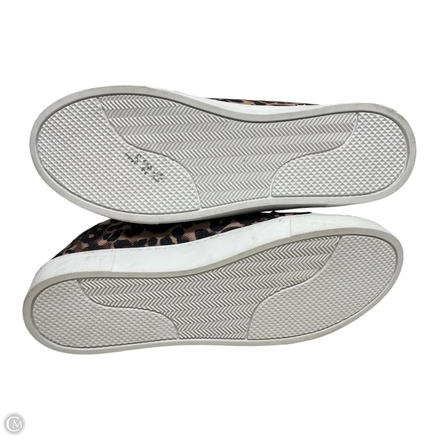 Shoes Flats By Steve Madden In Animal Print, Size: 9.5