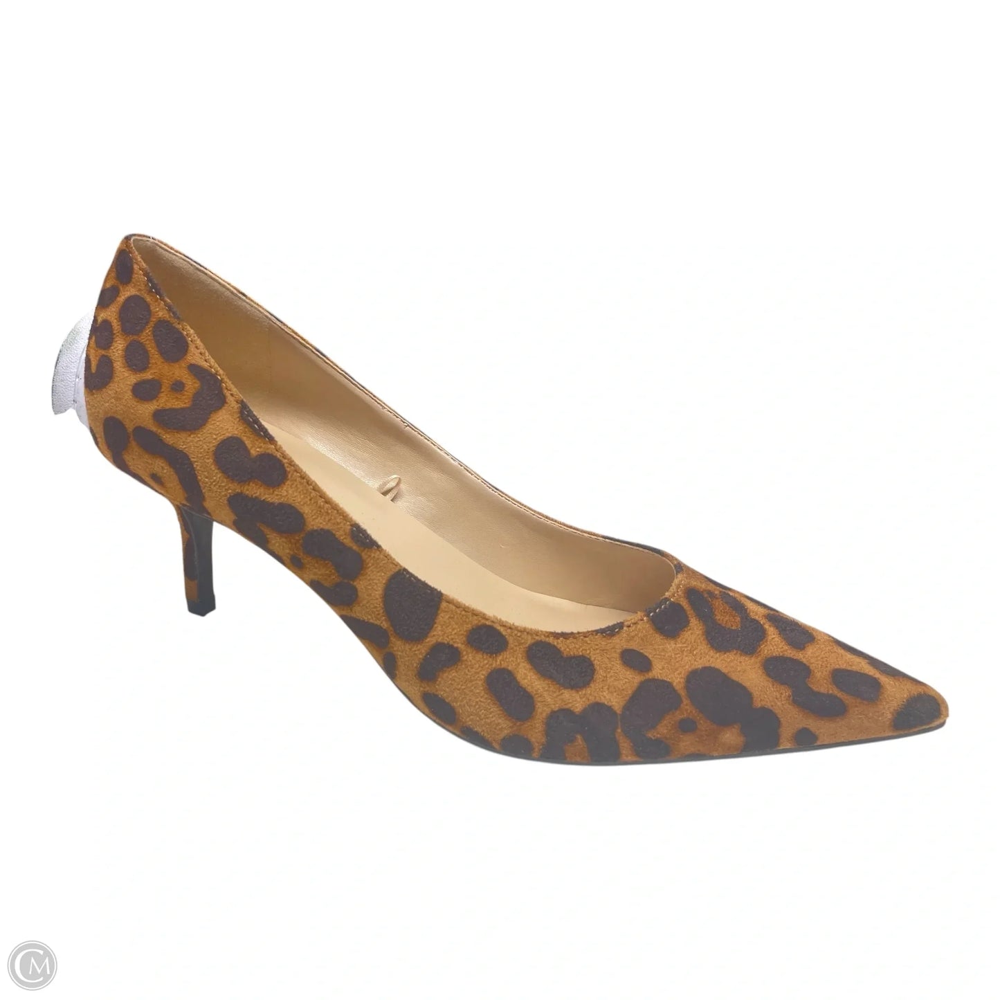 Shoes Heels Kitten By Marc Fisher In Animal Print, Size: 8.5