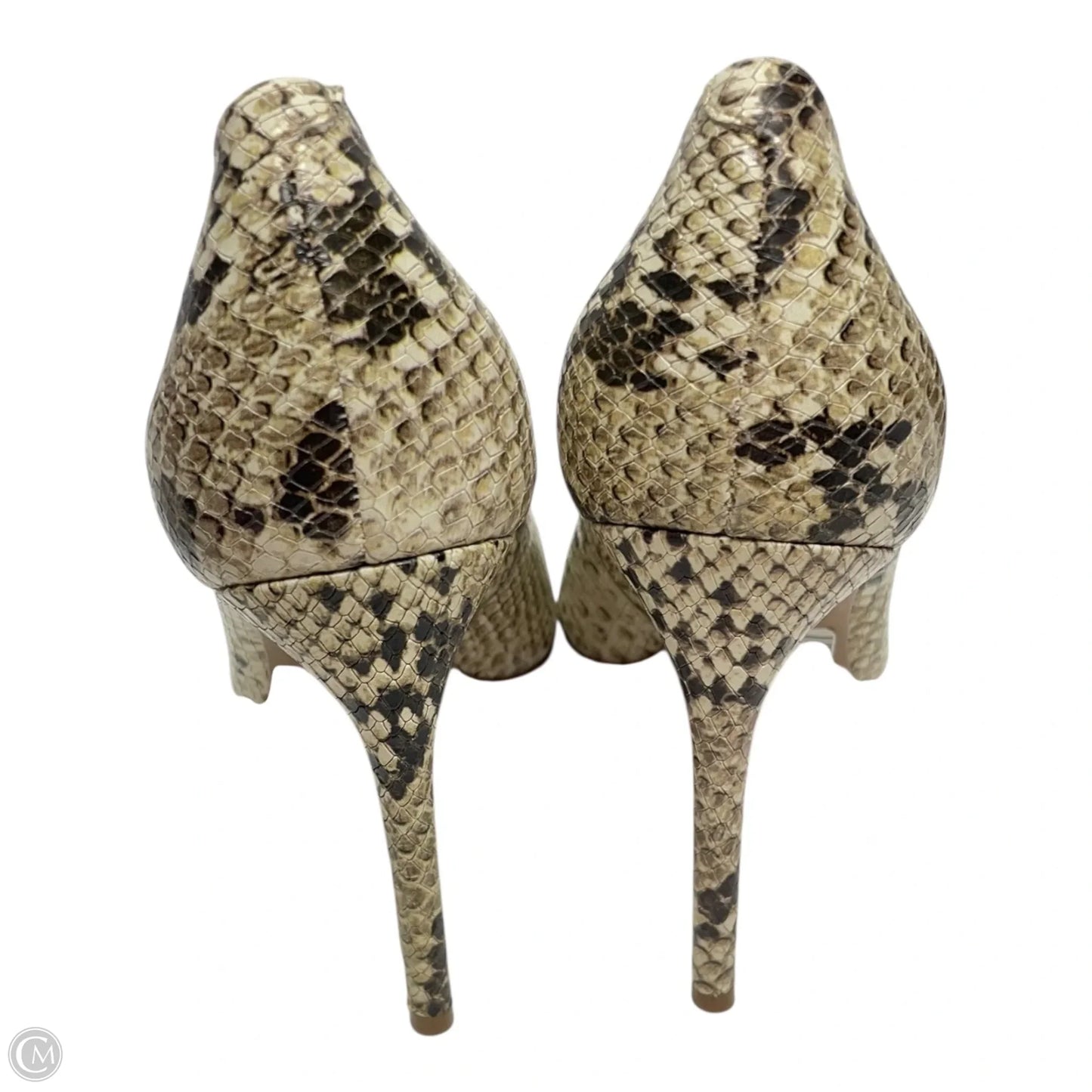 Shoes Designer By schutz In Snakeskin Print, Size: 8