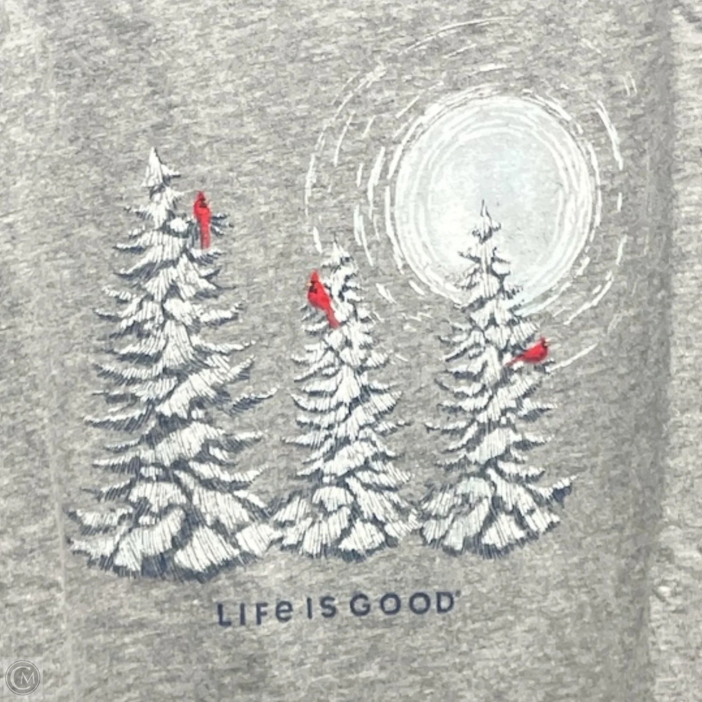Top Long Sleeve By Life Is Good In Grey, Size: 2x