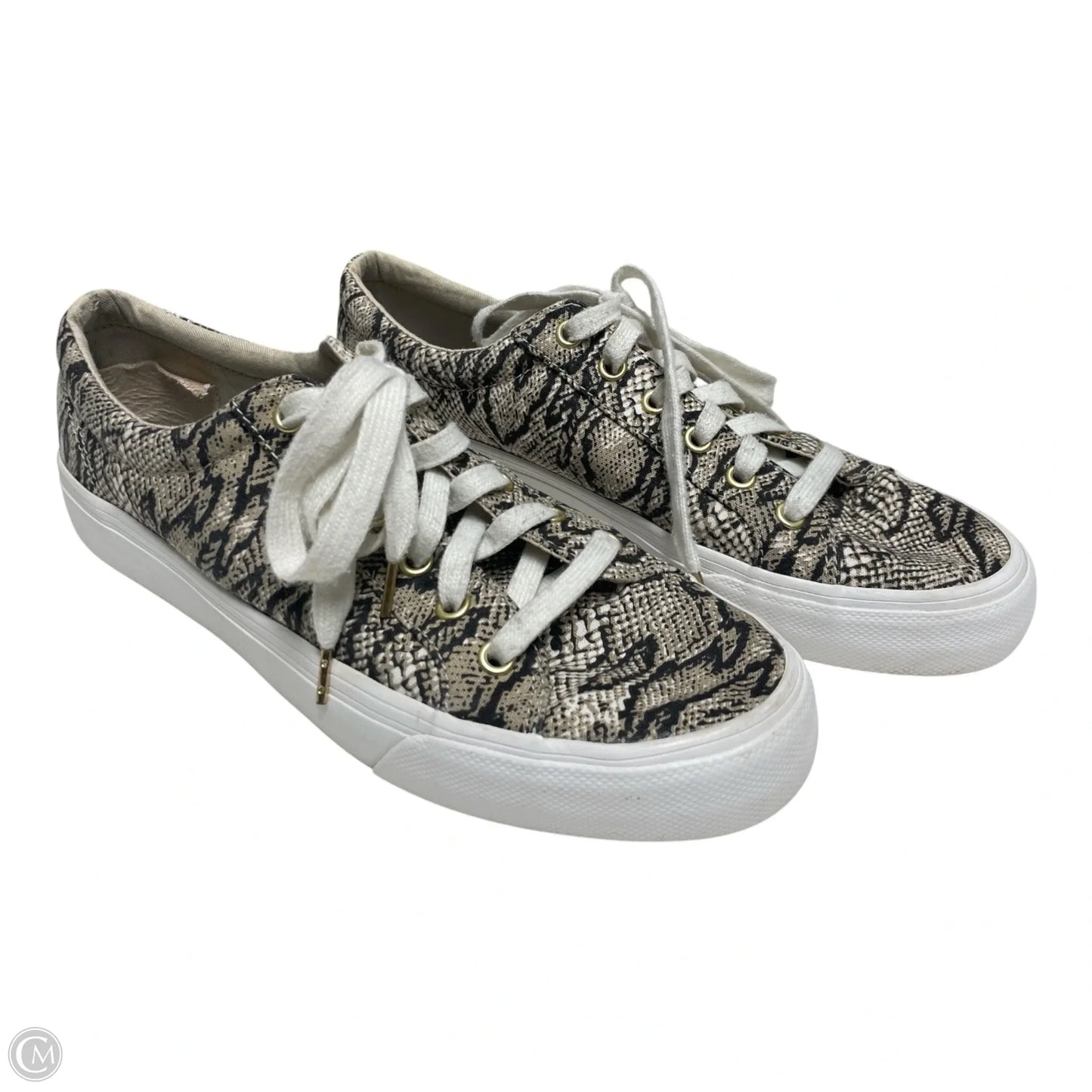Shoes Sneakers By Keds In Snakeskin Print, Size: 9.5