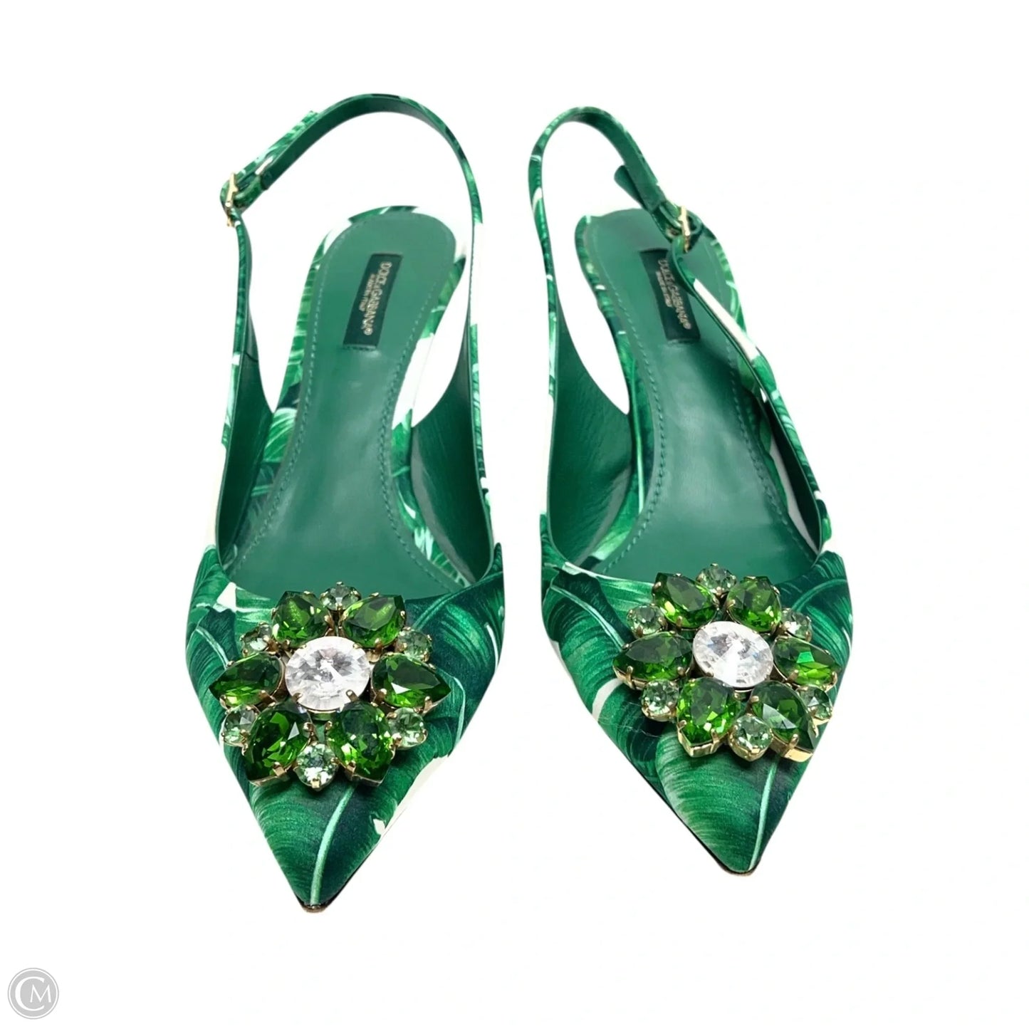 Shoes Luxury Designer By Dolce And Gabbana In Green & White, Size: 7.5