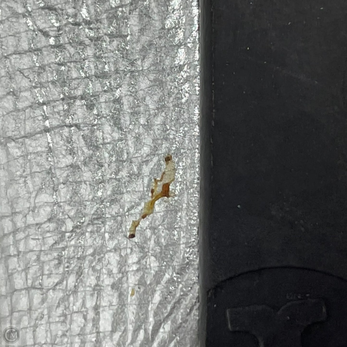 Shoes Designer By Tory Burch In Silver, Size: 6.5