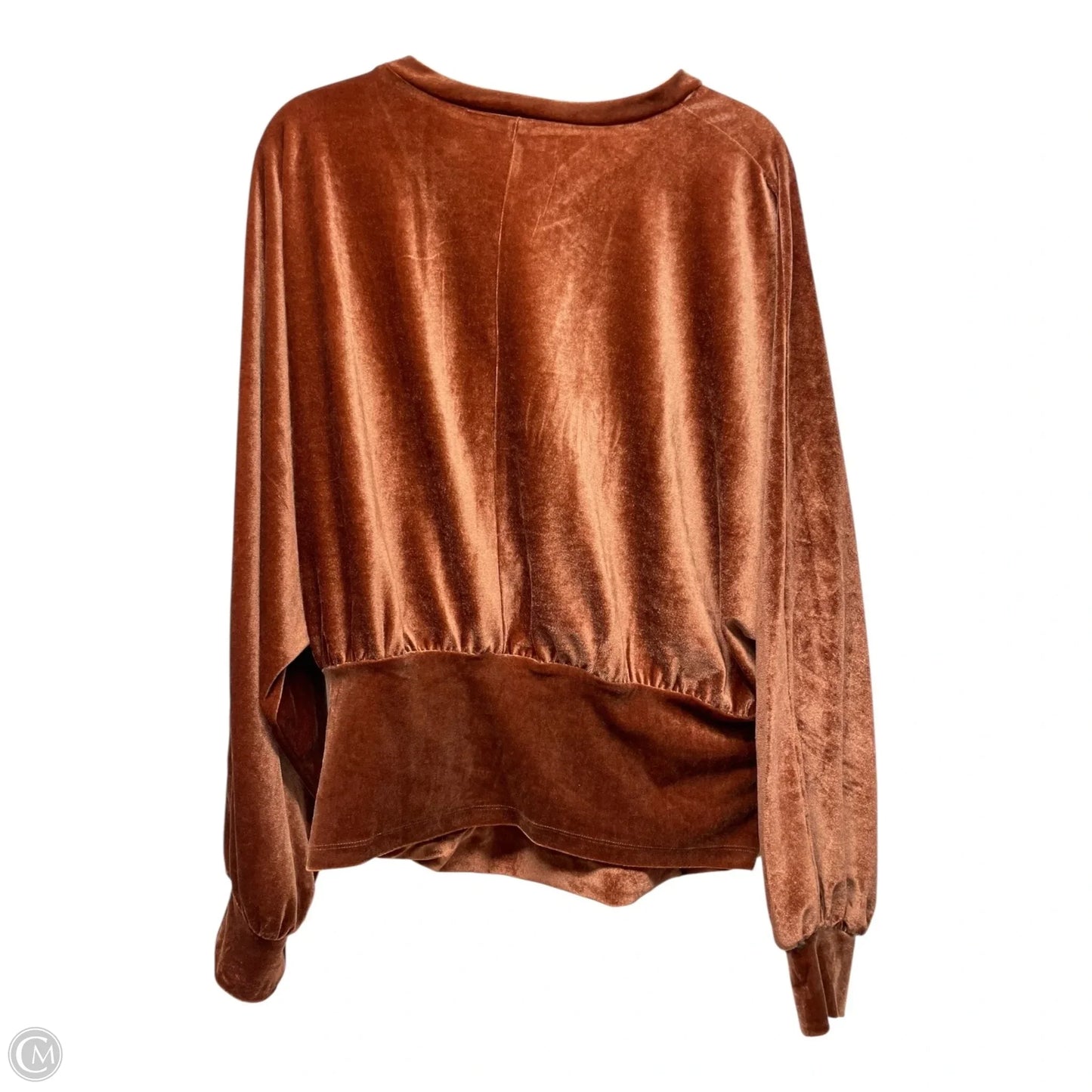 Top Long Sleeve By jess lea  In Brown Size: 2x
