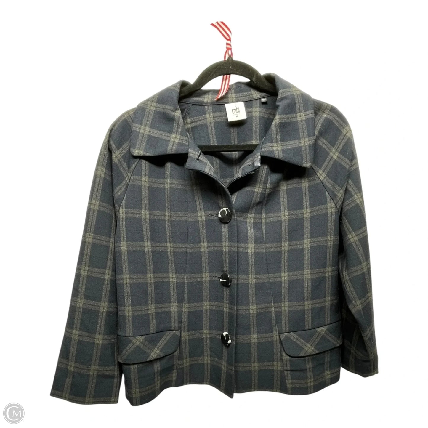 Cardigan By Cabi In Blue & Grey, Size: M