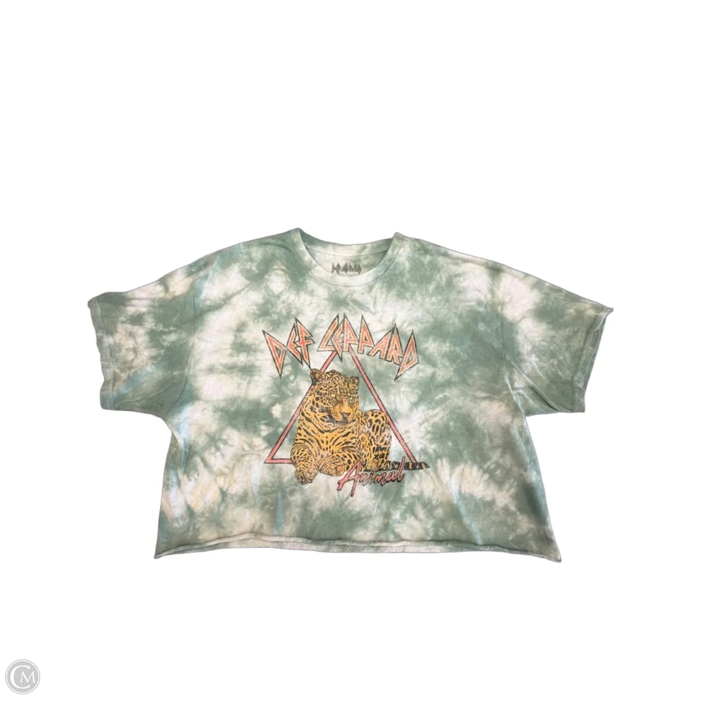 Top Short Sleeve By Clothes Mentor In Green, Size: Xl