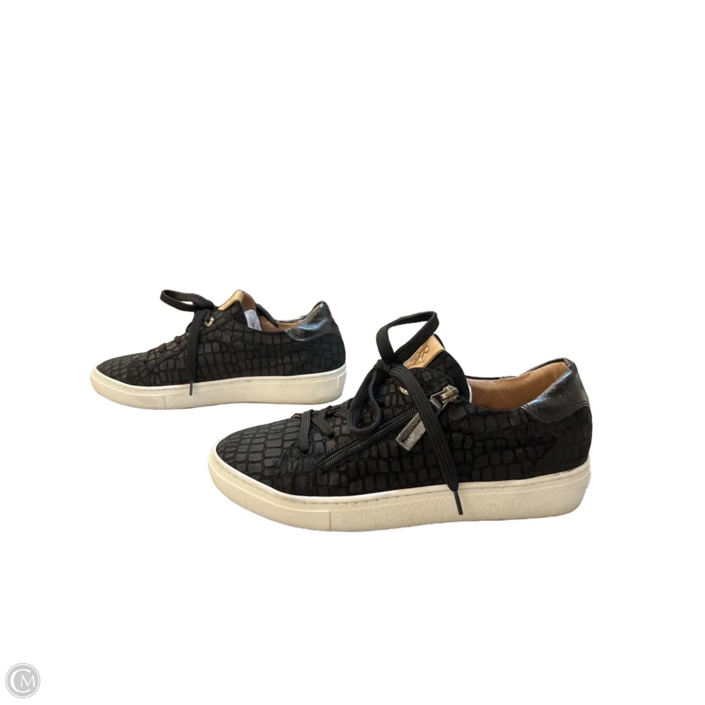 Shoes Sneakers By Cma In Black & White, Size: 8.5