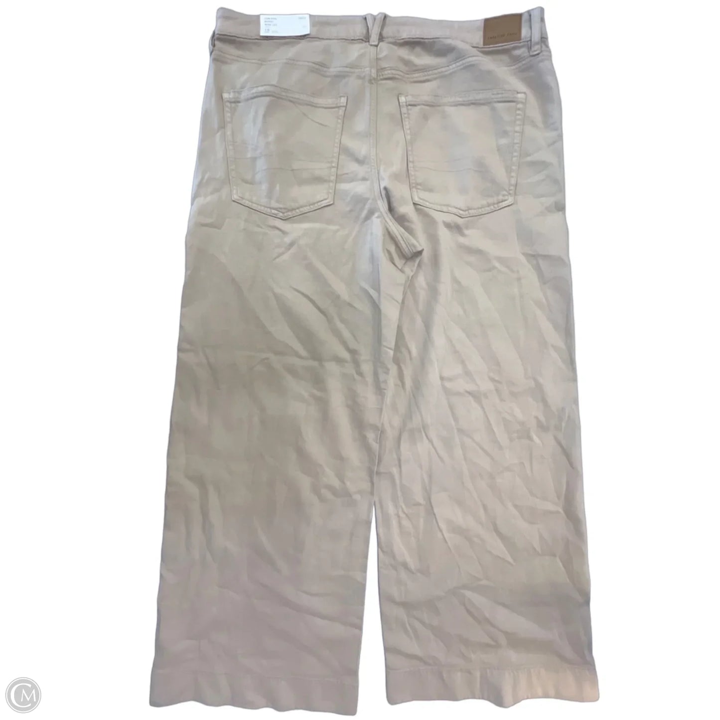 Pants Wide Leg By American Eagle In Tan, Size: Xxl