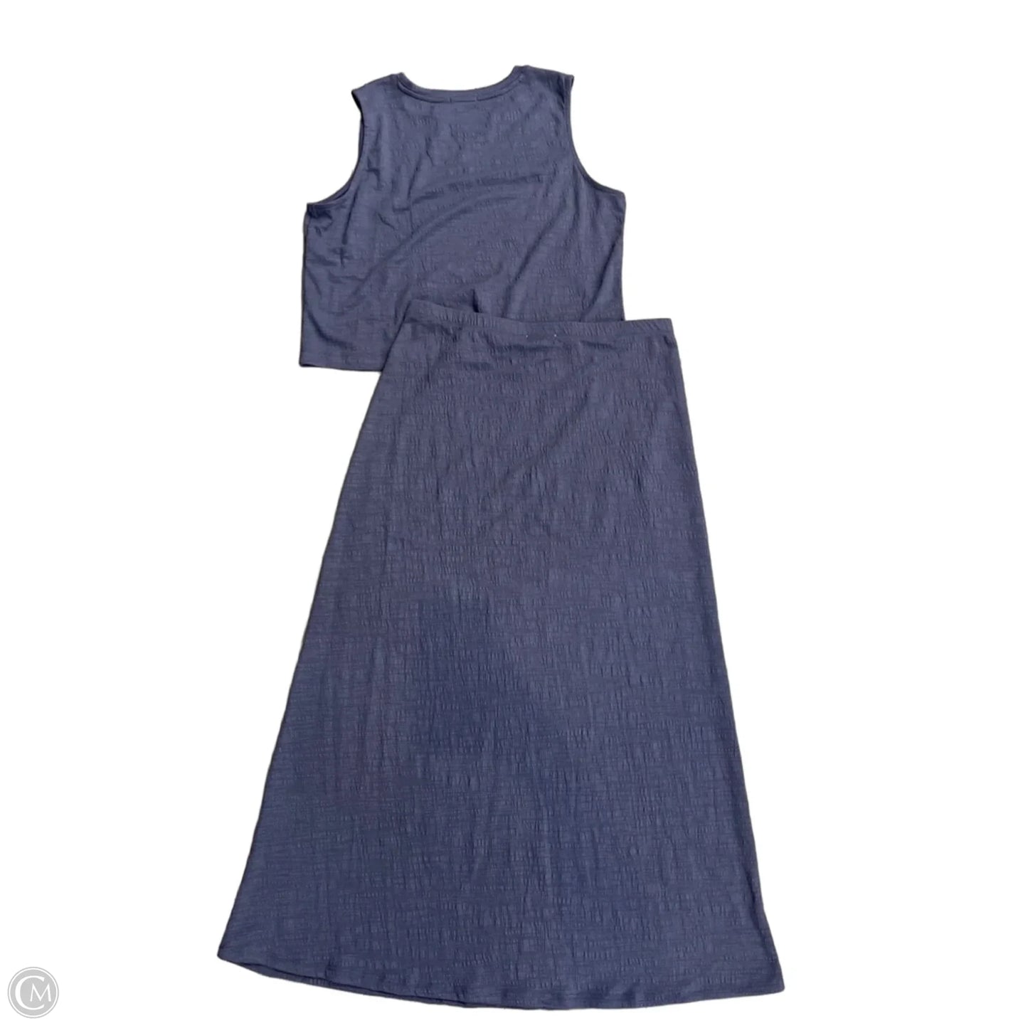 Skirt Set 2pc By Z Supply In Blue, Size: L