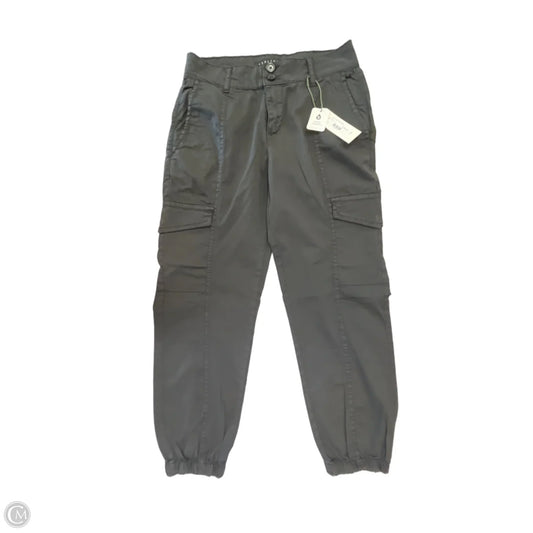 Pants Cargo & Utility By Sanctuary In Grey, Size: Xs