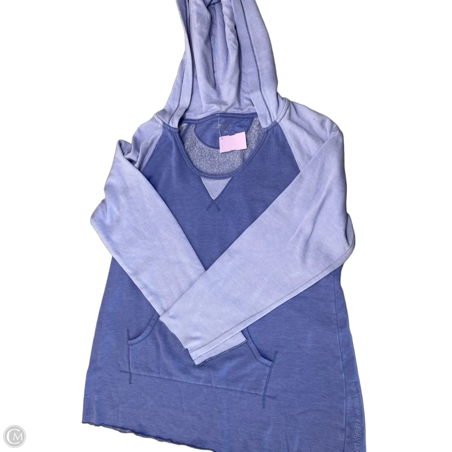 Sweatshirt Hoodie By Calvin Klein In Blue, Size: 1x