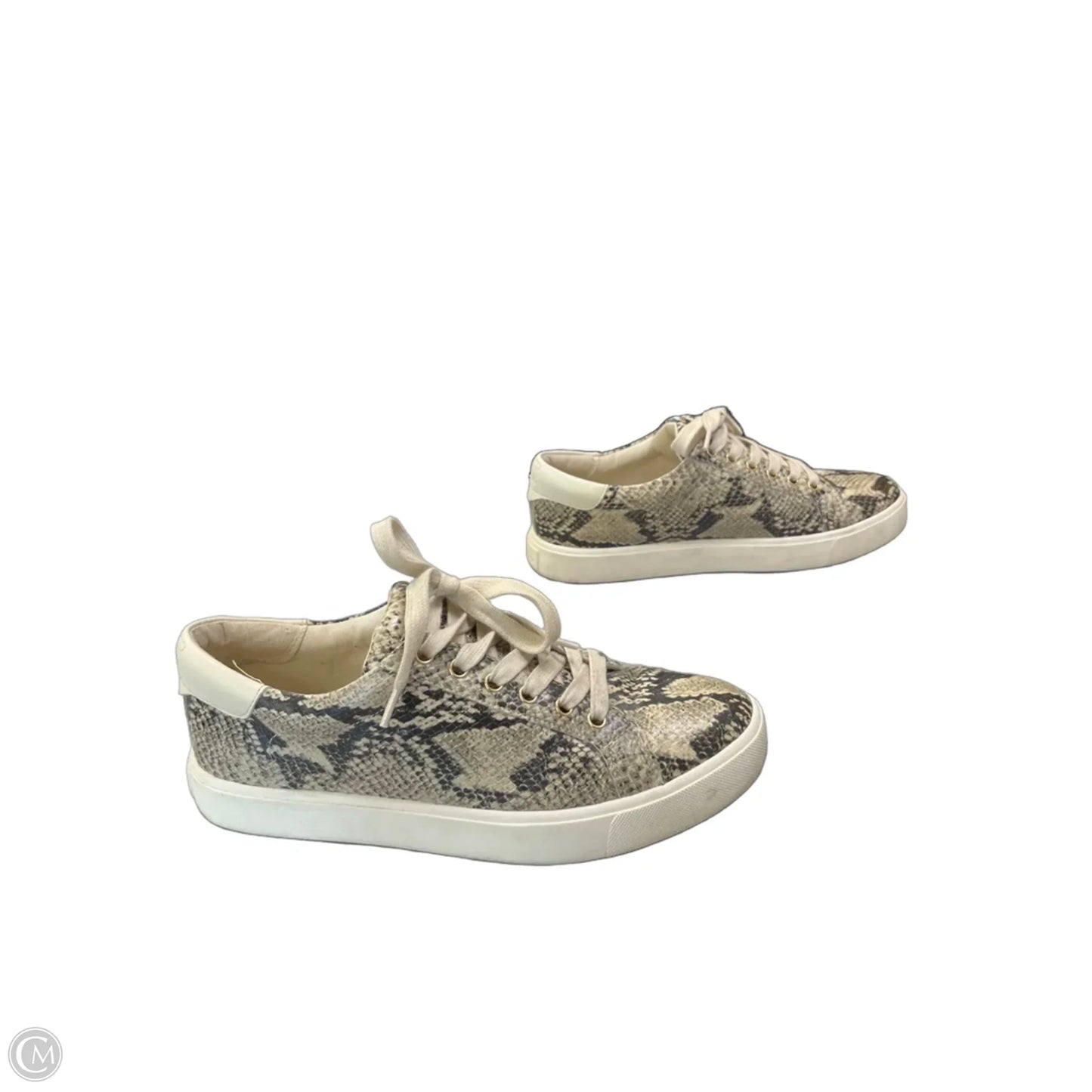 Shoes Sneakers By Sam Edelman In Snakeskin Print, Size: 9.5