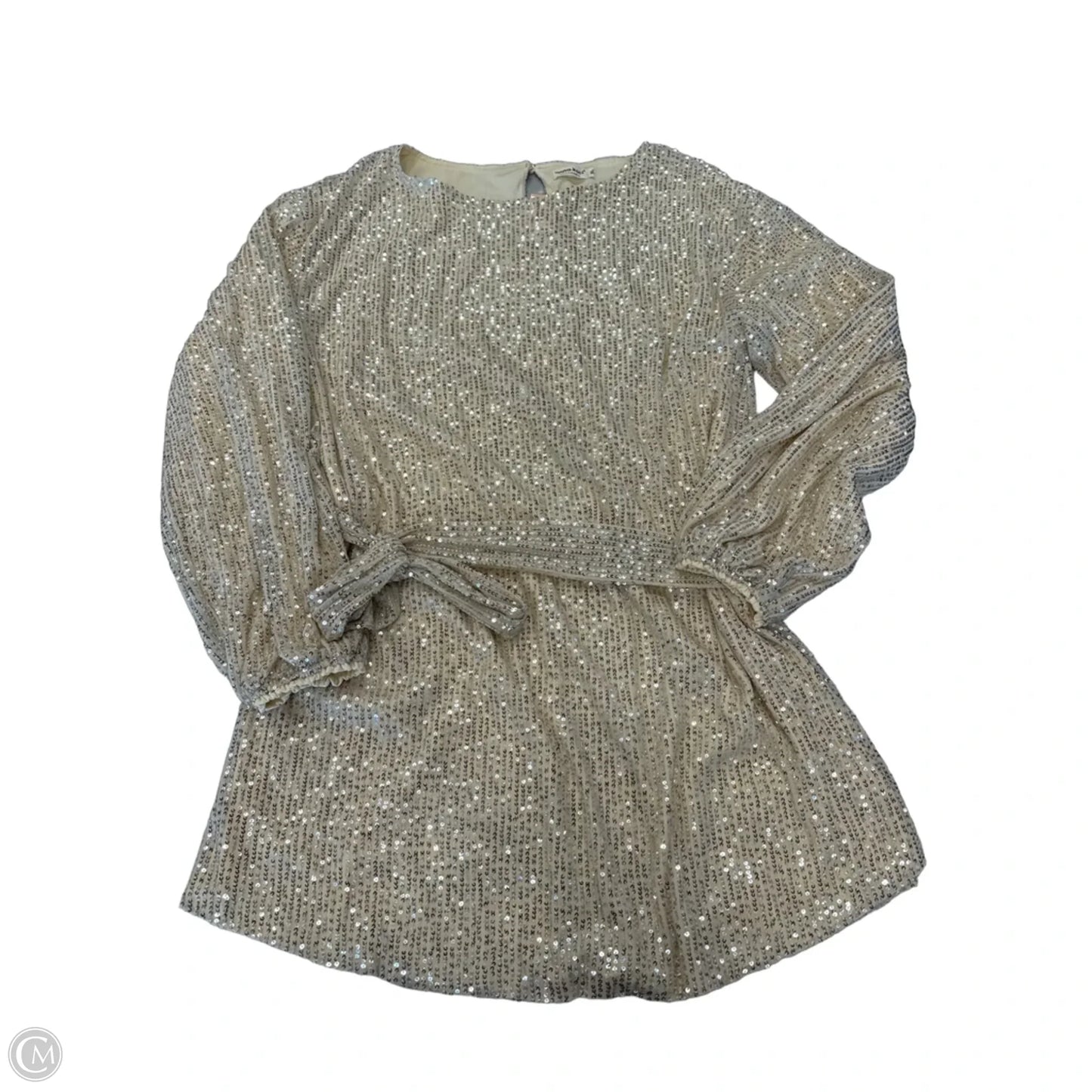 Dress Party Short By Clothes Mentor In Silver & Tan, Size: Xl